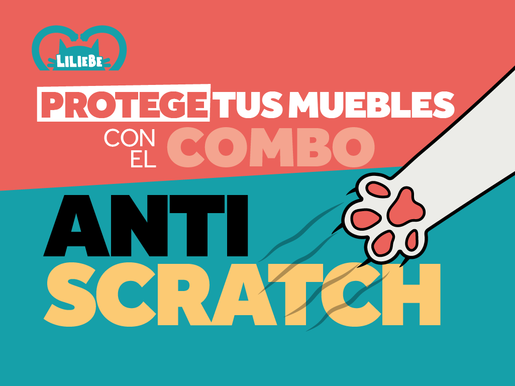 Combo "anti-scratch"