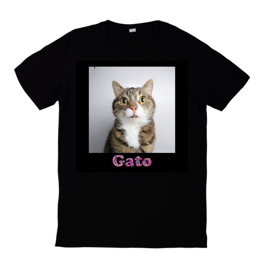 Gato